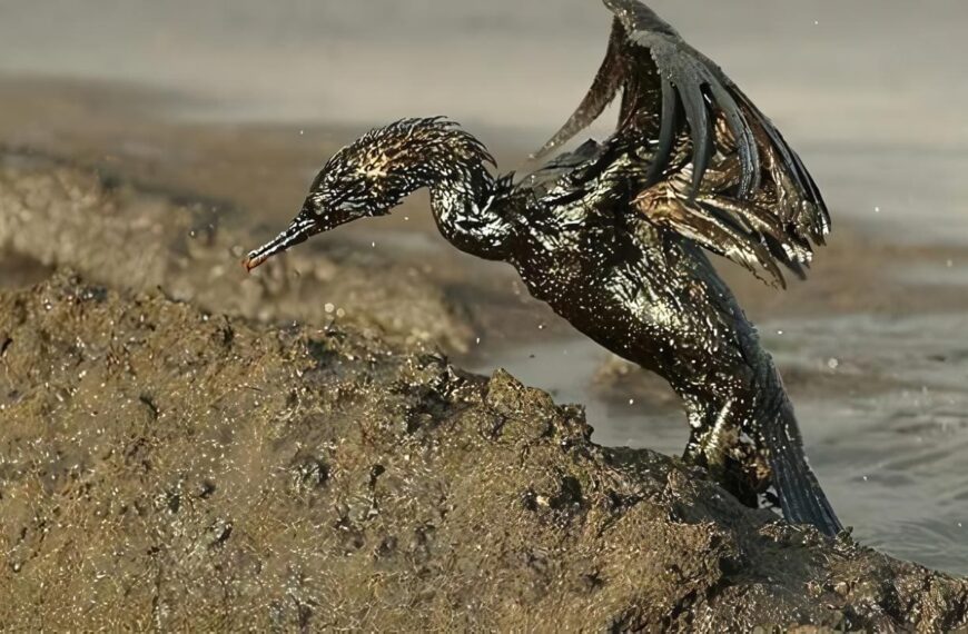 contaminación de la biodiversidad