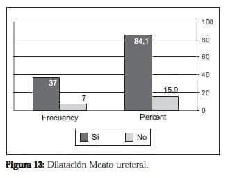 Dilatación Meato ureteral