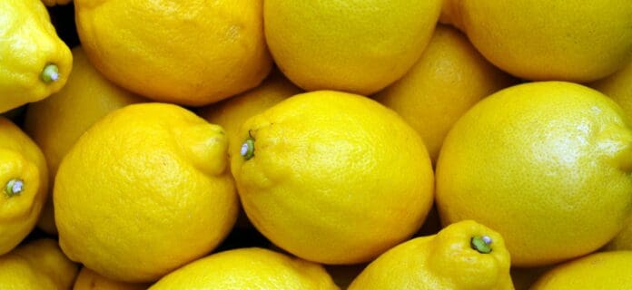 qué es el limón