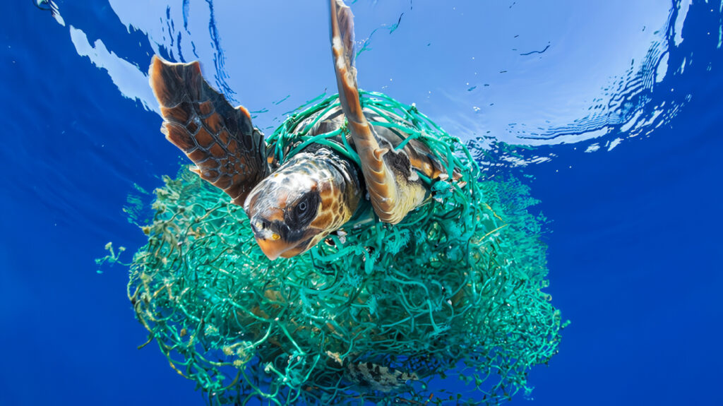 Contaminación de los Mares y Océanos