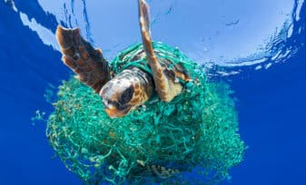 Contaminación de los Mares y Océanos