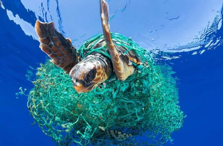 Contaminación de los Mares y Océanos