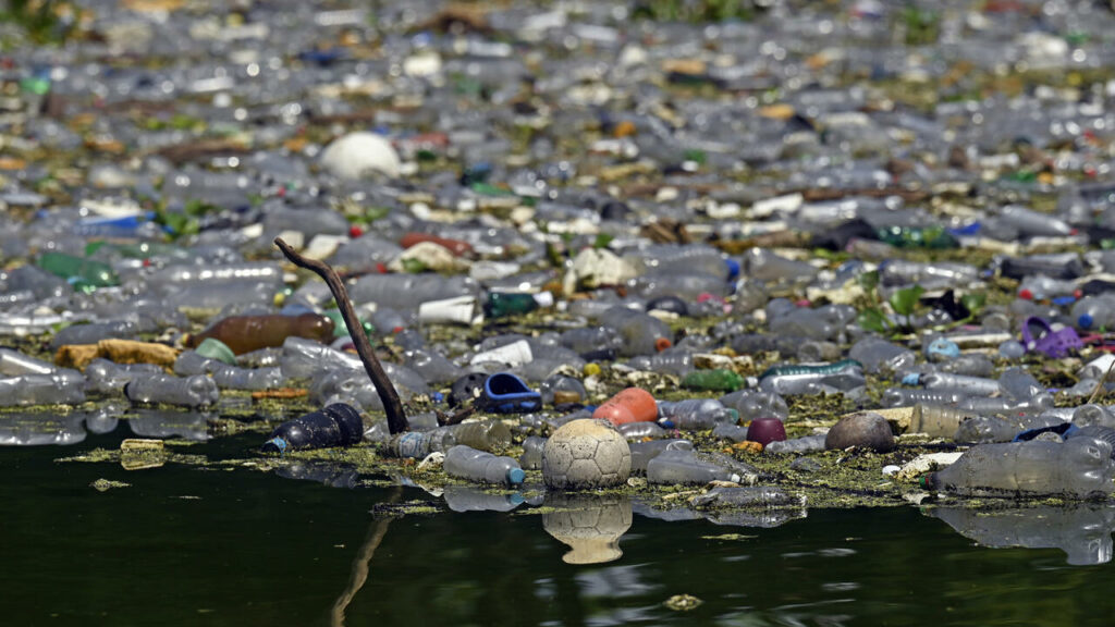 Contaminación de los ríos: causas, consecuencias y medidas