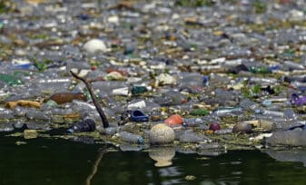 Contaminacion de los rios