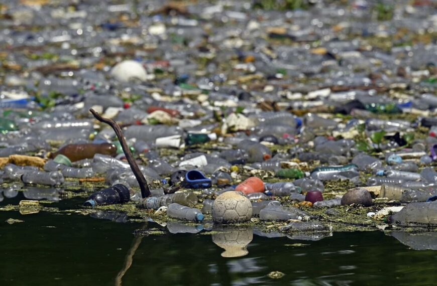 Contaminacion de los rios