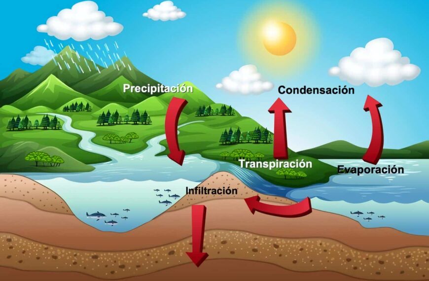 Ciclo del Agua