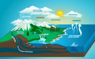 Ciclos Biogeoquímicos | Qué son y su Importancia