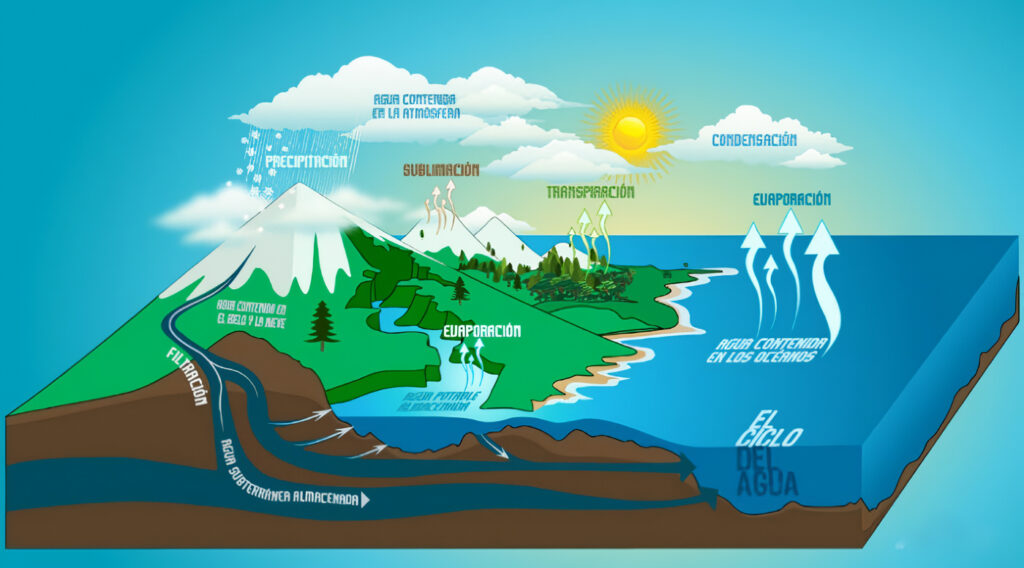 Cuáles son los ciclos biogeoquímicos