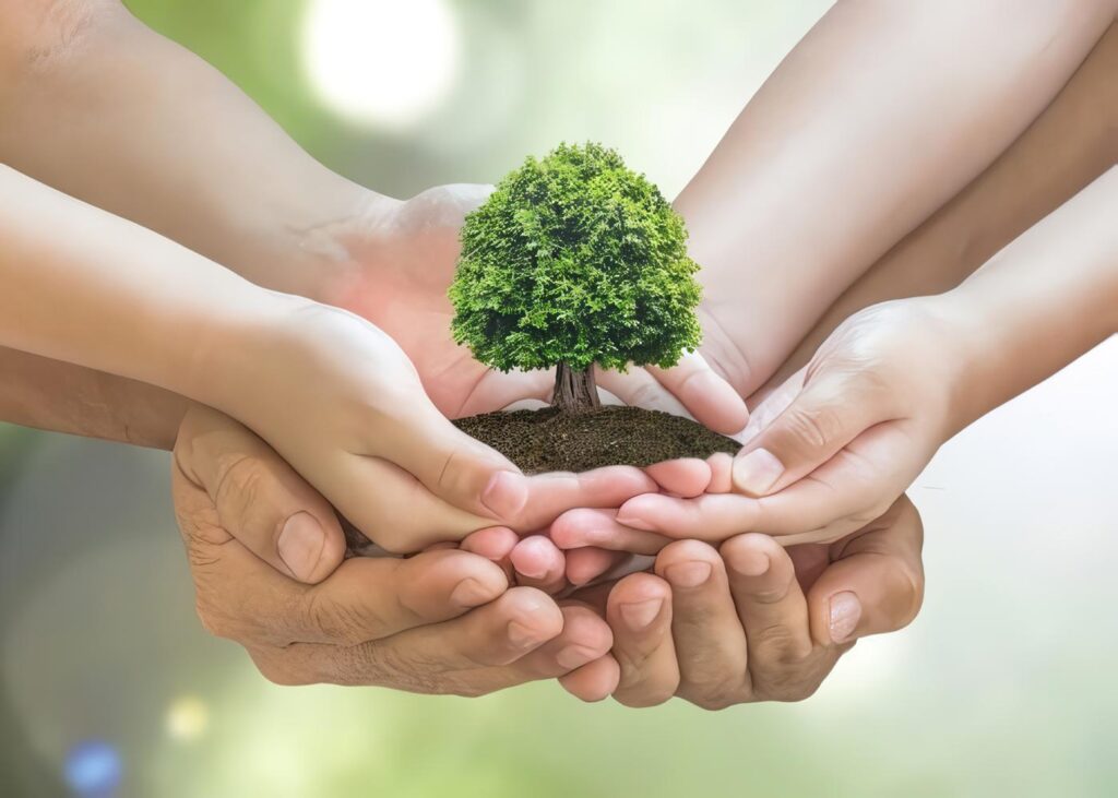 Cuidar el medio ambiente en casa, escuela y Trabajo