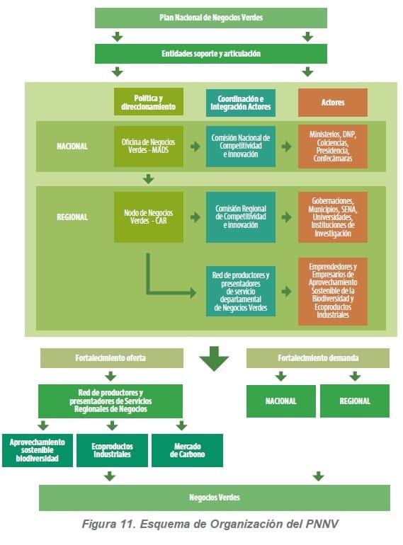 Estructura de Organización para implementar el PNNV y los Programas Regionales