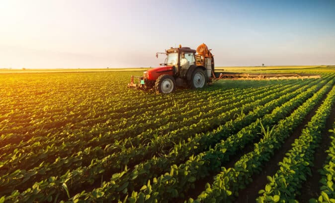 Agroindustria - Cultivos De Frutas - Floricultura - Economía