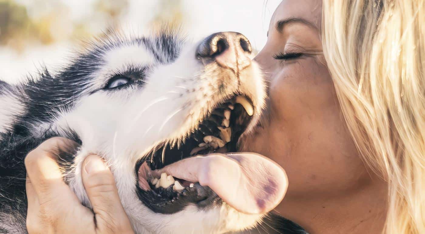 Qué Mascota que te Puede Hacer Más Feliz según tu Personalidad