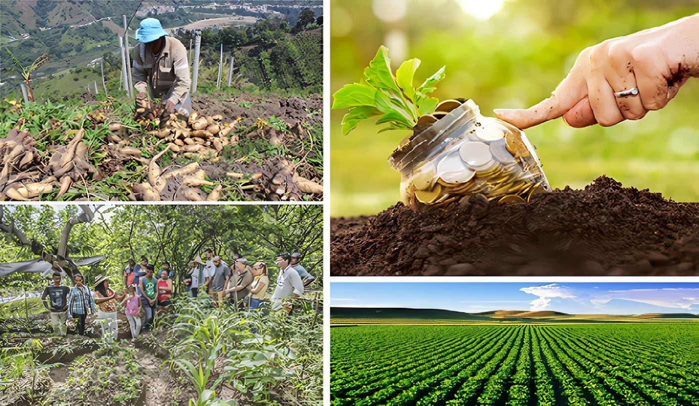 Estrategias Del SNIA, Sistema De Innovación Agropecuaria