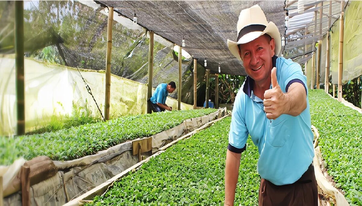 Usuarios del Servicio de Extensión Agropecuaria