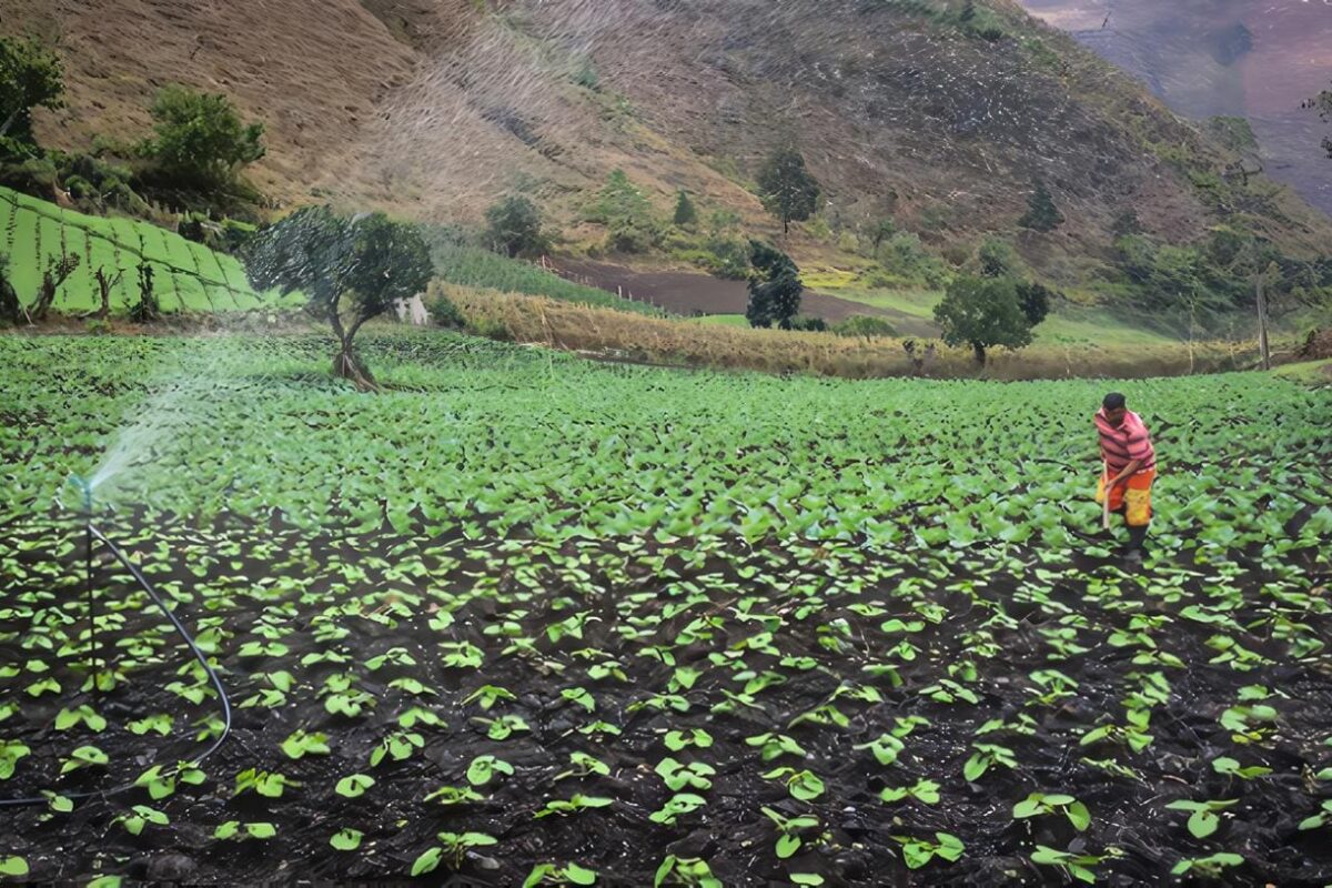 Ley 1876 - Innovación Agropecuaria