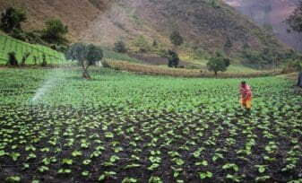 Ley 1876 - Innovación Agropecuaria