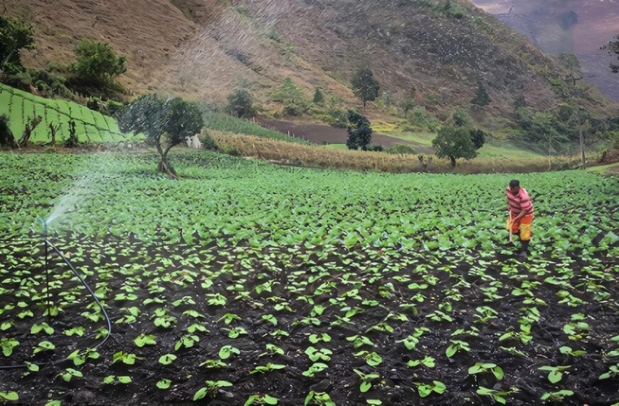 Ley 1876 - Innovación Agropecuaria