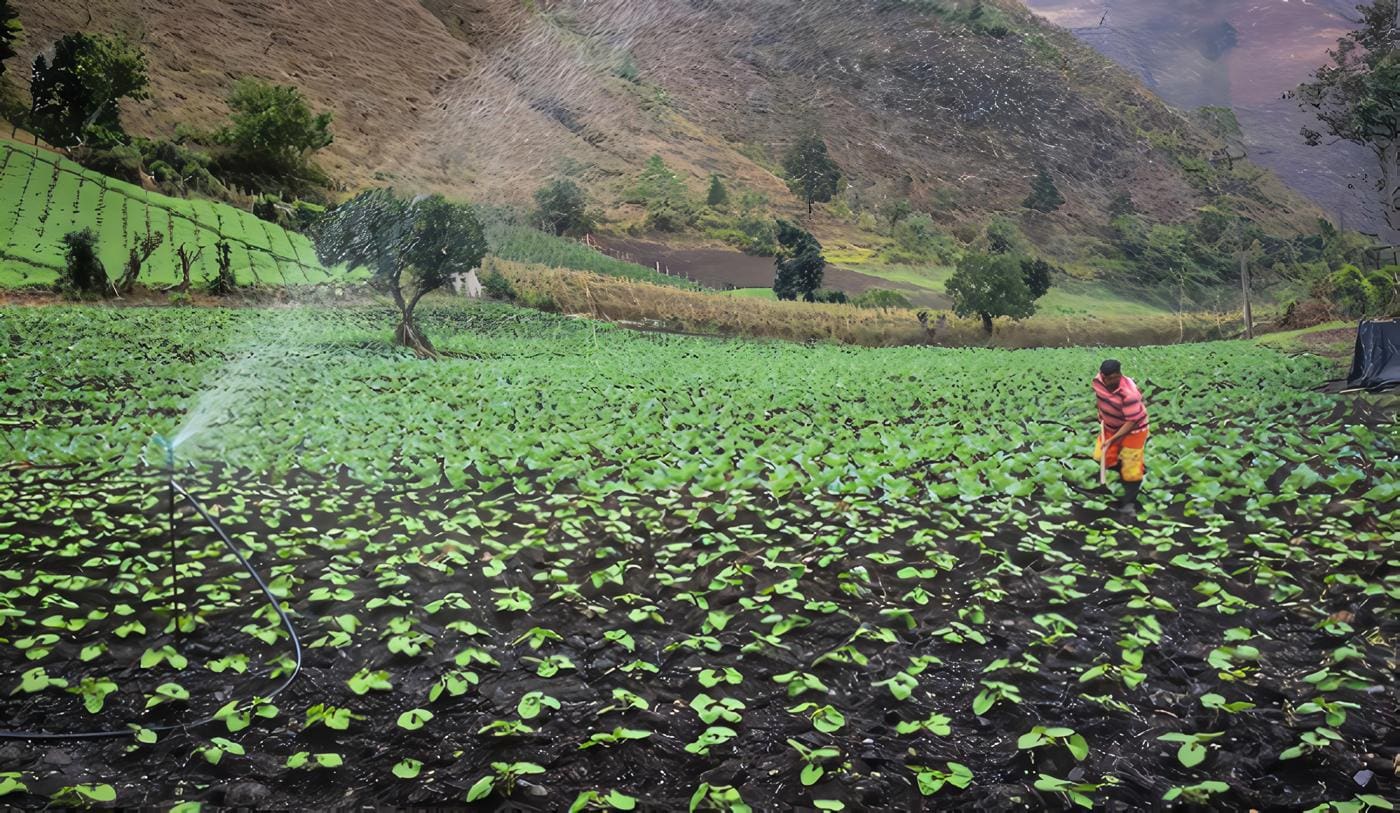 Ley 1876 - Innovación Agropecuaria