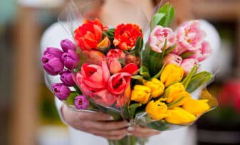 Qué flores son ideales para regalar