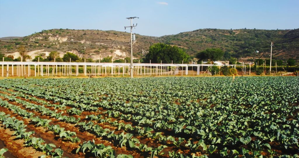 Agricultura Integrada