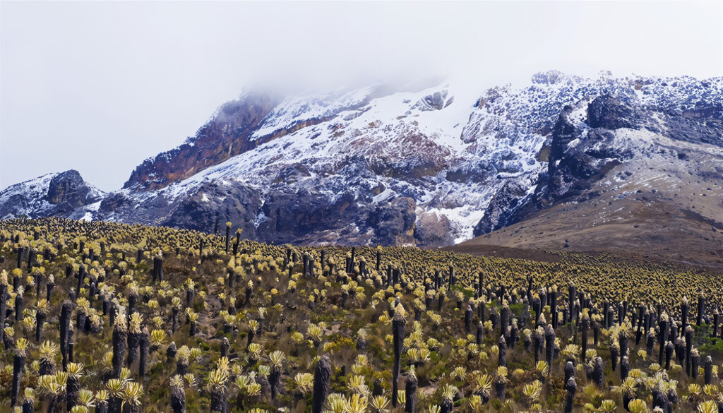 Cordillera Central en Colombia