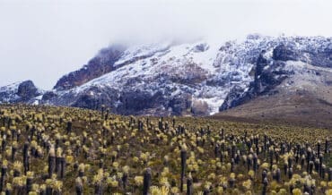 Cordillera Central en Colombia