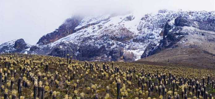 Cordillera Central en Colombia