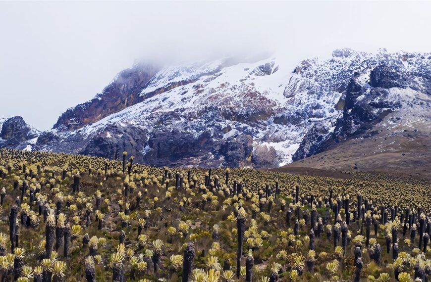 Cordillera Central en Colombia