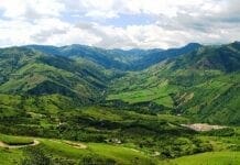Instituto Global para el Crecimiento Verde