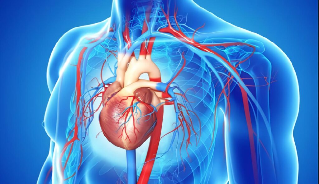 Eventos Cardiovasculares