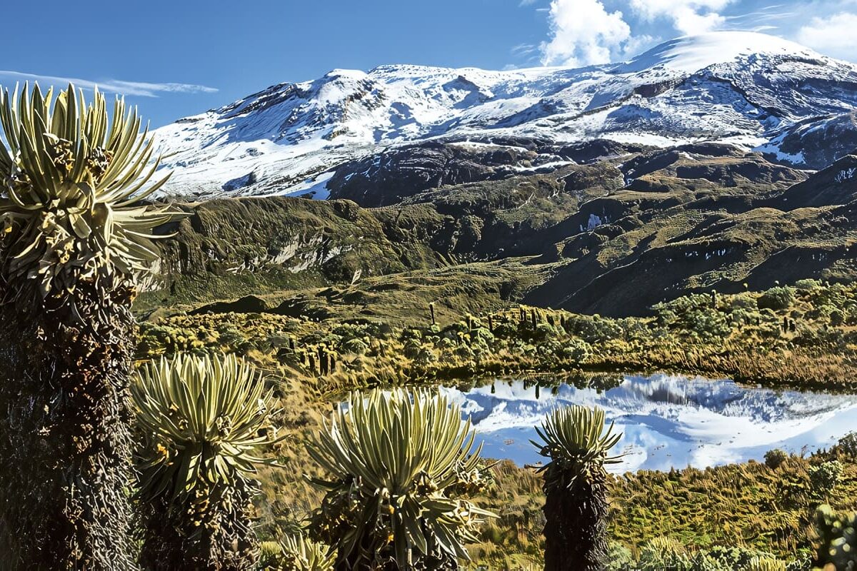 Ecosistemas en Colombia