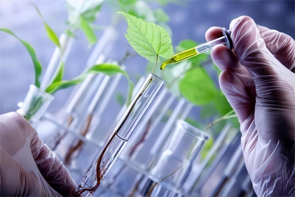 Biotecnología Vegetal