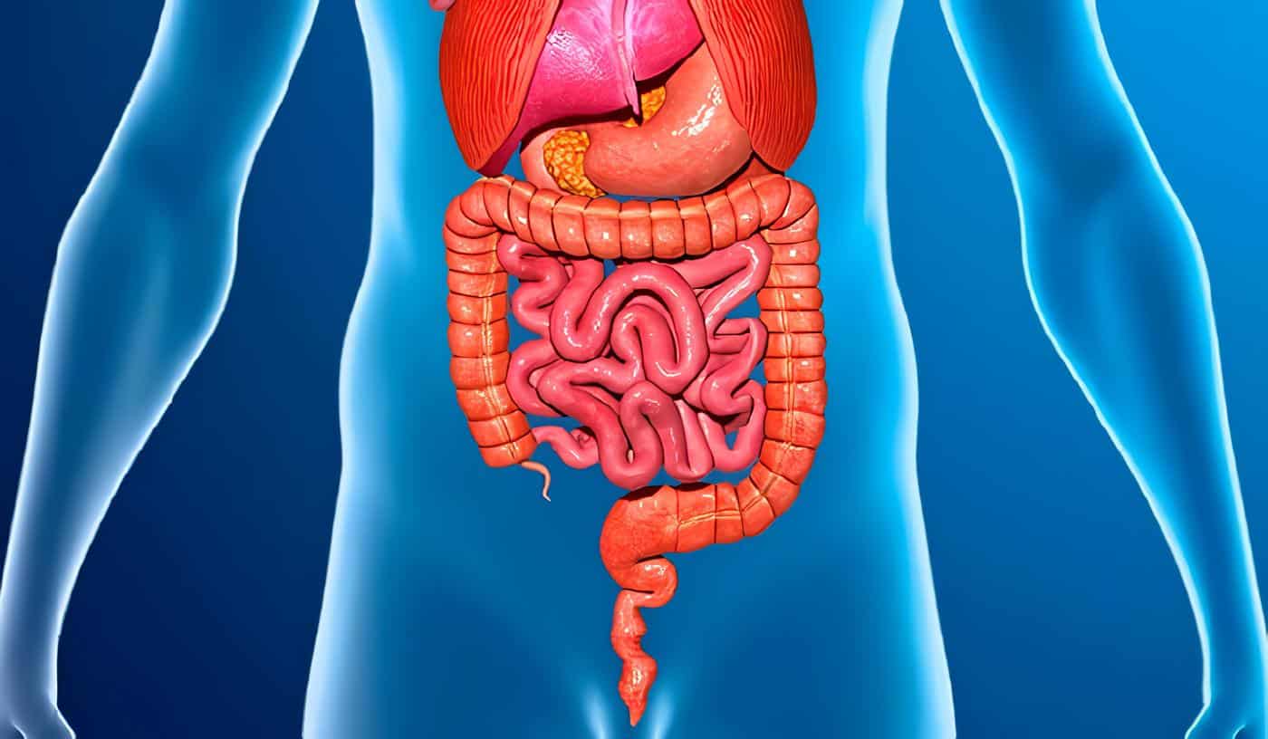 Neumatosis Quística