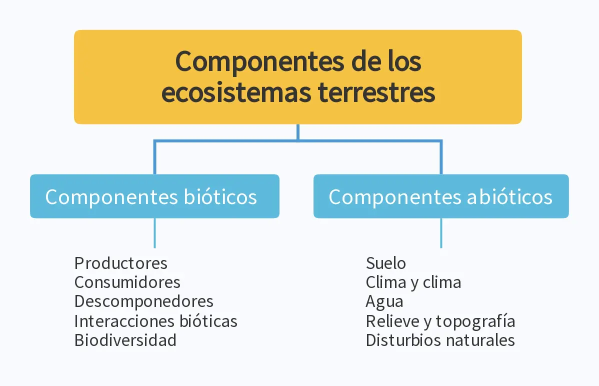 Características de los ecosistemas terrestres