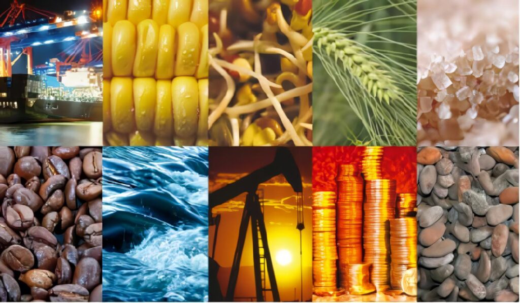 Disposiciones en Materia de Cambio