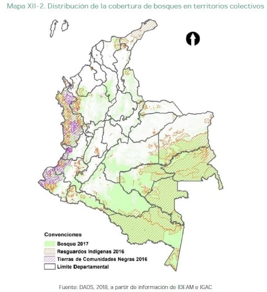 Bosques en territorios colectivos