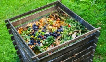 Compost