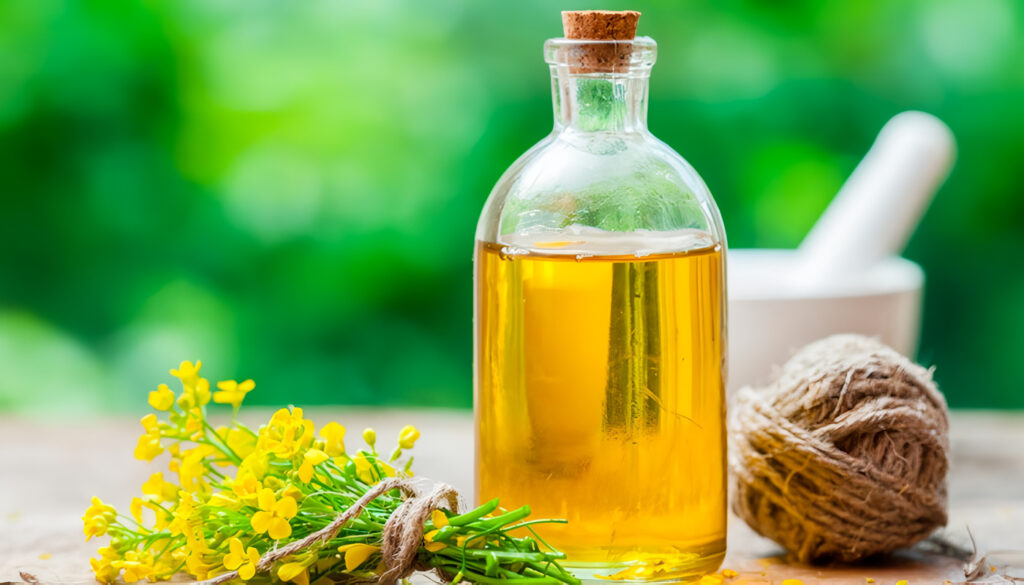 Aceites Saludables para Cocinar
