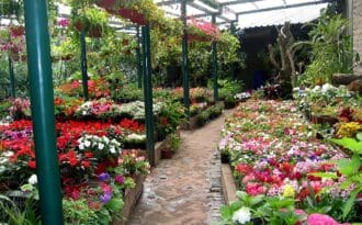 Floricultura - Temas de Agronomía