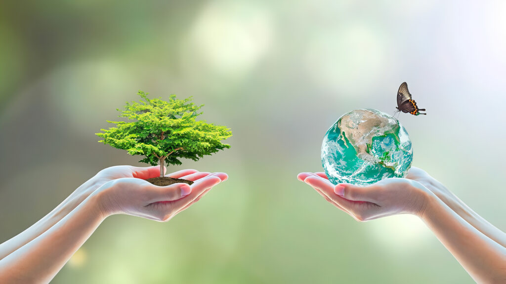 Importancia de la Biodiversidad y su Cuidado