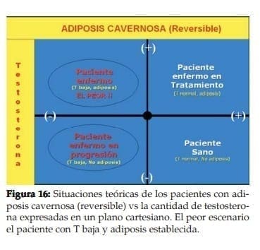 Situaciones teóricas de los pacientes con adiposis cavernosa