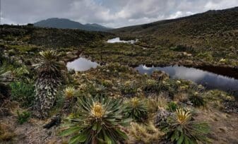 Delimitación de Ecosistemas de Páramos