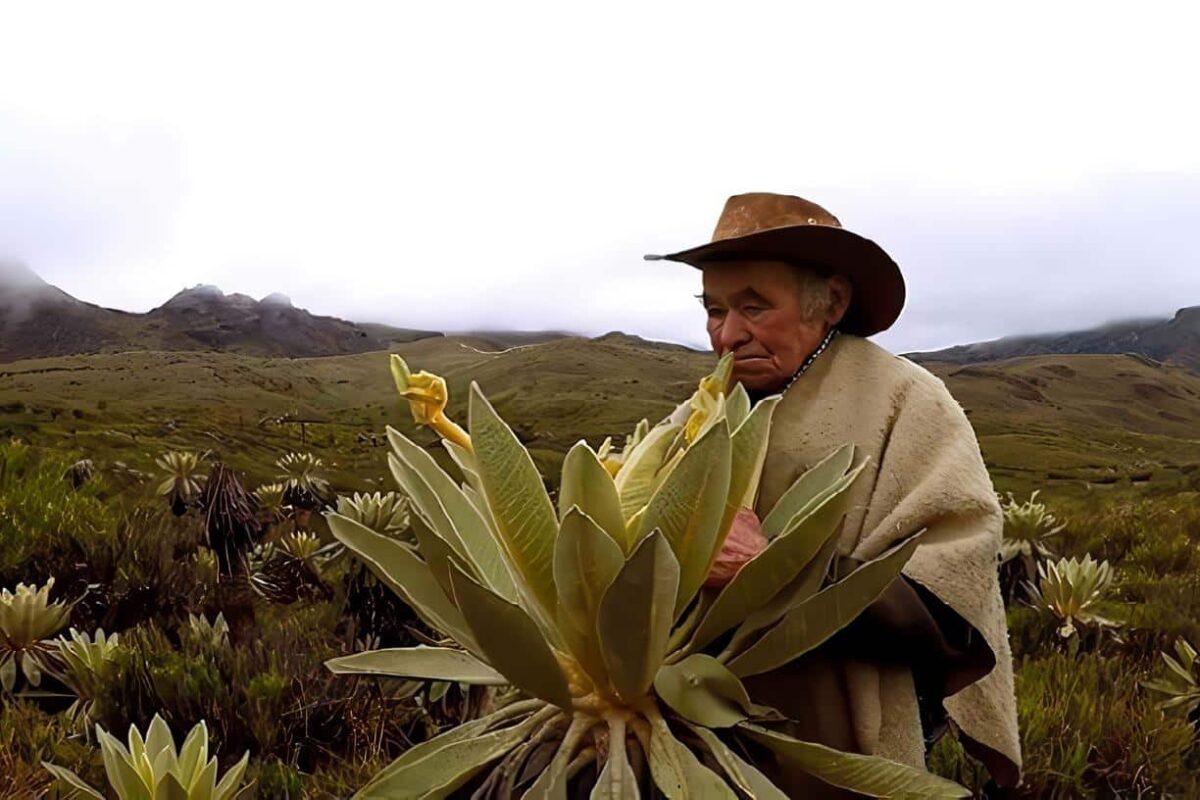 Habitantes de los Páramos