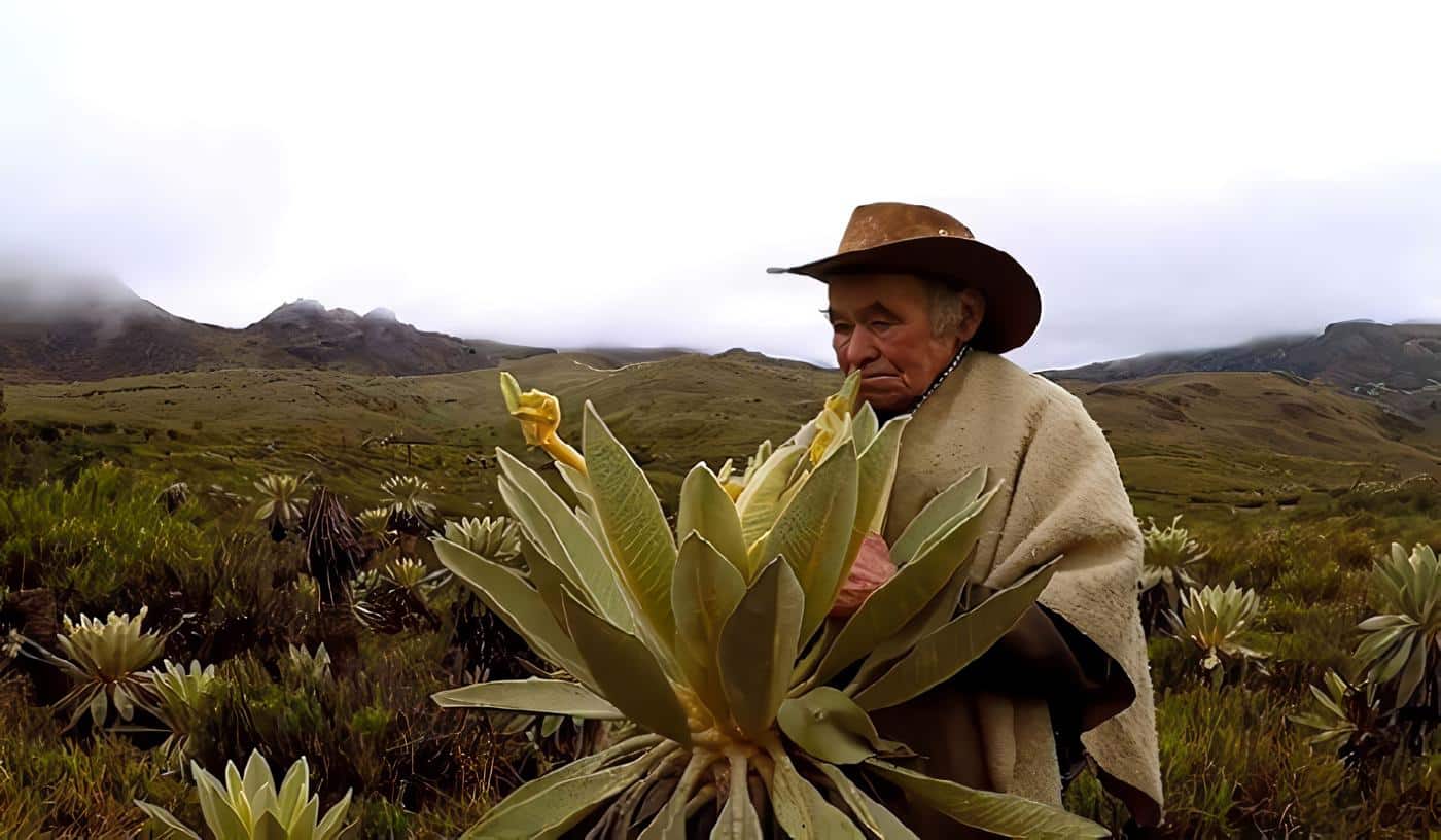 Habitantes de los Páramos