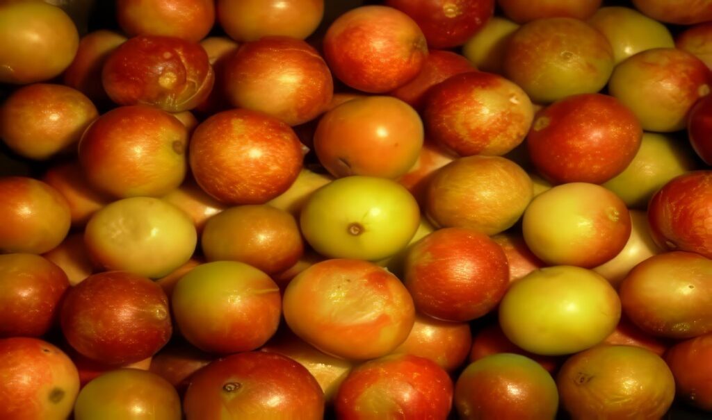Productos de Biocomercio