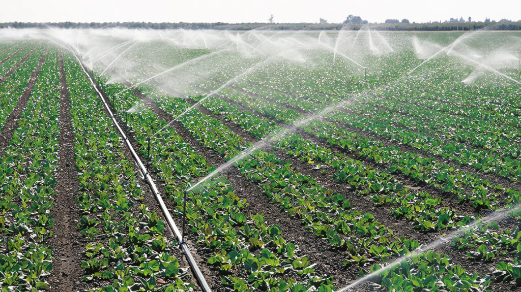 Agricultura de Regadío