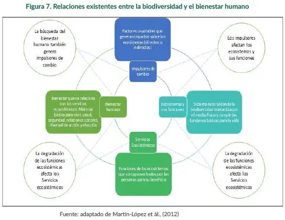Relaciones existentes entre la biodiversidad y el bienestar humano