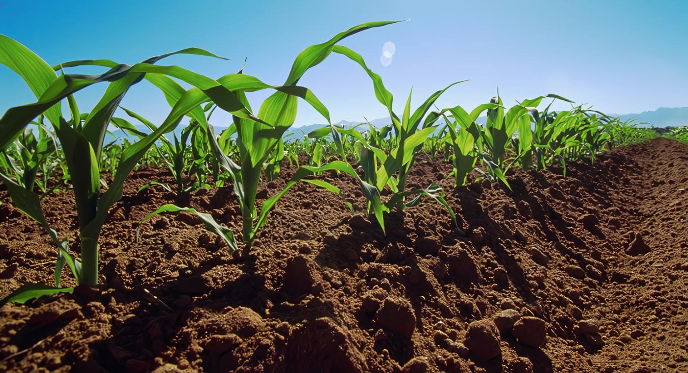 Todo Sobre el Suelo - Temas de Agronomía