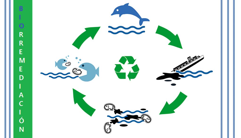 Biorremediación: Condiciones, Factores y Ventajas
