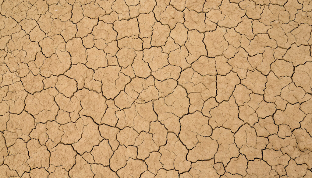 Suelos Arcillosos